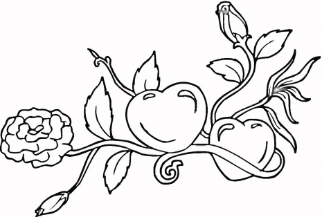 Cool Coloring Sheets on New Cool Trend Cartoons  Kids Coloring Pages   Valentine Day Roses