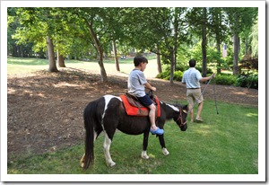 pony rides