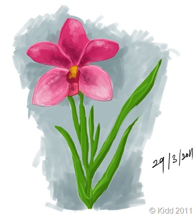 plantOrkid2