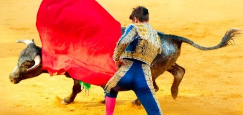 ¿El color rojo enfurece al toro?