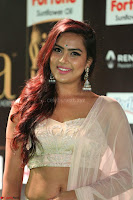 Prajna in Cream Choli transparent Saree Amazing Spicy Pics ~  Exclusive 016.JPG