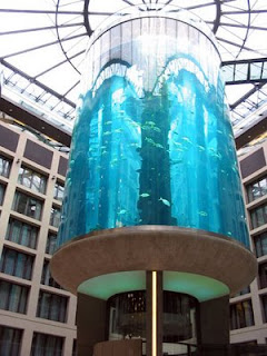weird aquarium