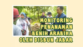 Disbun-jabar-monitoring-penanaman-benih-kopi-arabika-barong-mulya-purwakarta