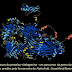 Inteligência Artificial determinou a estrutura 3D de quase todas as proteínas conhecidas na Terra