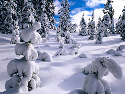 Winter Backgrounds