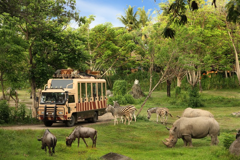 Adventure Package Bali Safari And Marine Park - Bali, Zoo, Tourist Program, Tour, Package