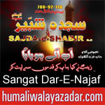 https://www.humaliwalayazadar.com/2019/09/sangat-dar-e-najaf-nohay-2020.html