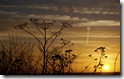 Landscape(2) 28 Desktop widescreen wallpaper