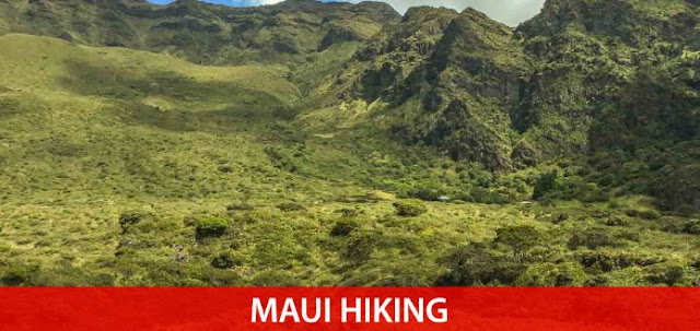 tour-to-maui-hiking