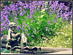 Lavender by the fountain