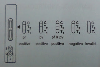 Indikator Hasil Tes Malaria