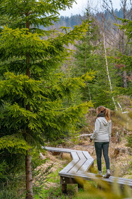 Traumtour Eisvogel | Rundweg Nationalpark Bayerischer Wald | Wandern Mauth 22