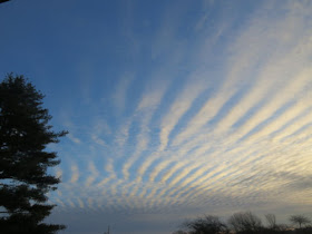 stratocumulus clouds