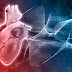Heart Disease Unveiled: Understanding Early Signs and Risks