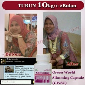 Obat Herbal Pelangsing Tubuh