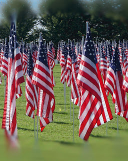 Flags of Valor display photo by mbgphoto