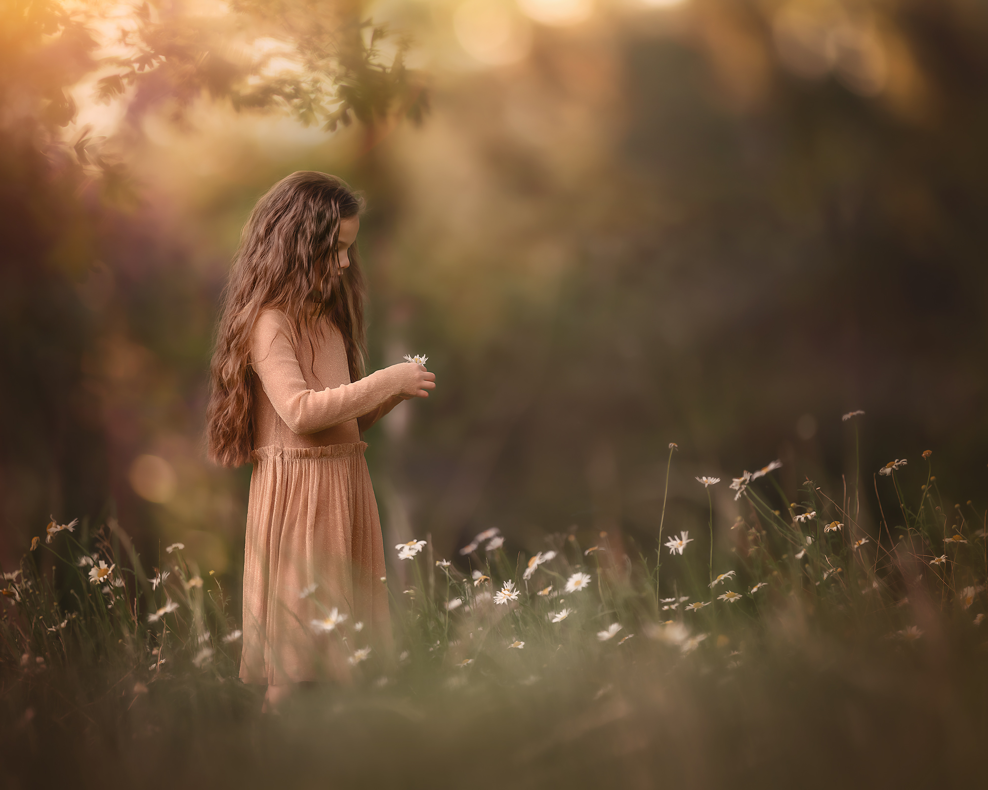 Dromerige portret van een meisje in een bloemenveld door natuurlijk licht fotografie en workshop Willie Kers uit Apeldoorn