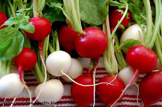 benefits_of_eating_radishes_fruits-vegetables-benefits.blogspot.com(benefits_of_eating_radishes_1)