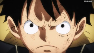 ワンピースアニメ 1036話 ルフィ かっこいい Monkey D. Luffy | ONE PIECE Episode 1036