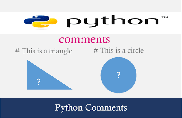 python comment