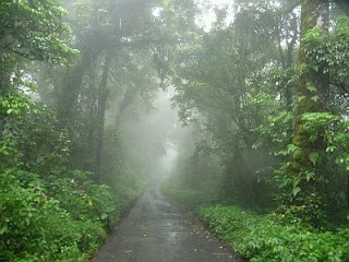 Paisajes con Lluvia, parte 4