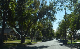 palms to ocean_042