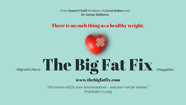 The Big Fat Fix (2016)