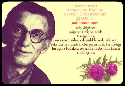 #PanaitIstrati #BaraganınDikenleri #ÇevirenBertanOnaran