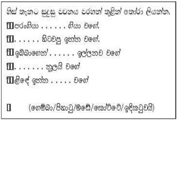 grade 3 sinhala sinhala activity 10