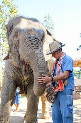 Chiang Mai, Thailand: Maerim Elephant Sanctuary