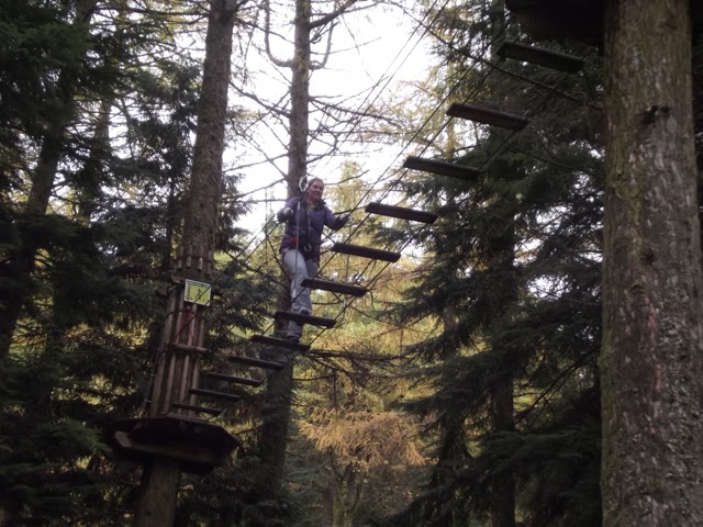 Go Ape Whinlatter bridge