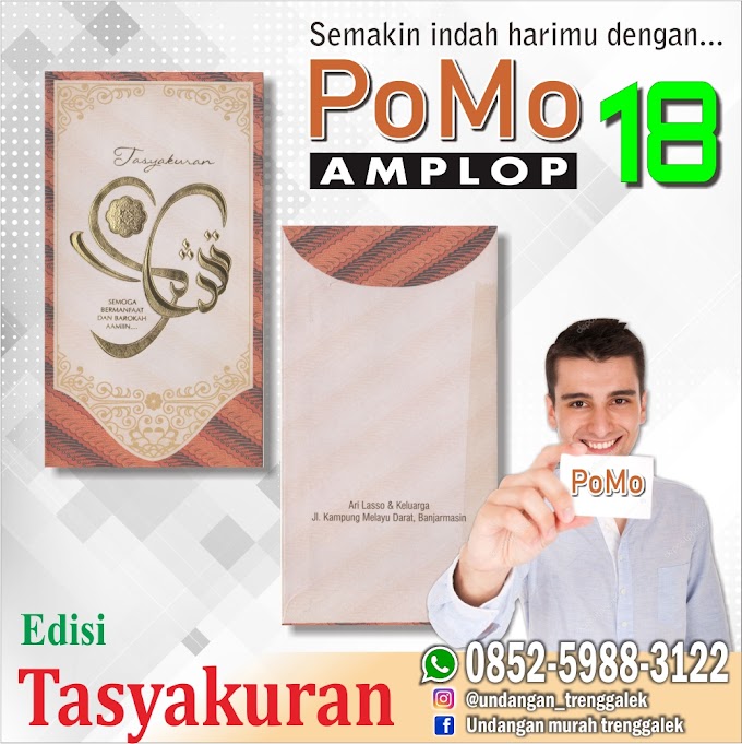 POMO 18