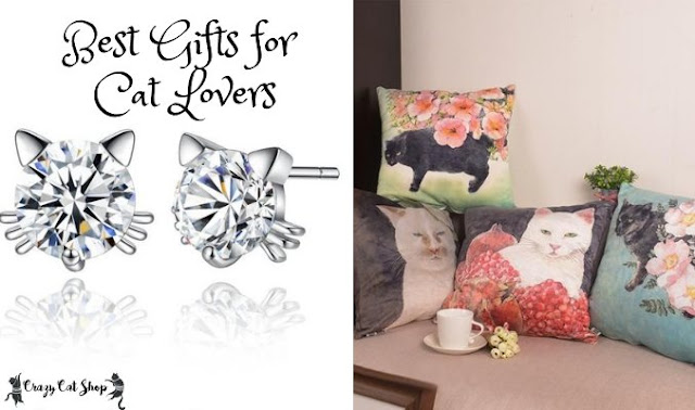 gifts for cat lovers