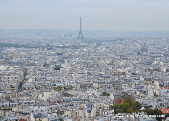 view from Sacre Coeur dome