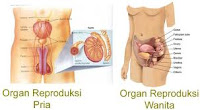 <img src="http://medissain.blogspot.com/image/kenali berbagai macam penyakit pada manusia .jpg" alt="StockIndex">