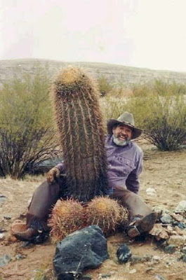 Cactus plants