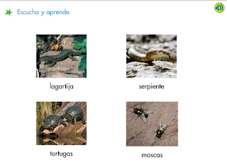 http://www.primerodecarlos.com/SEGUNDO_PRIMARIA/febrero/tema3/actividades/lengua/singular_plural.swf