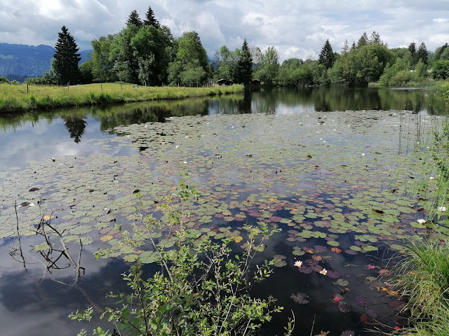 Sauerland wandern Wetter blog Oberstdorf Alpen Allgäu