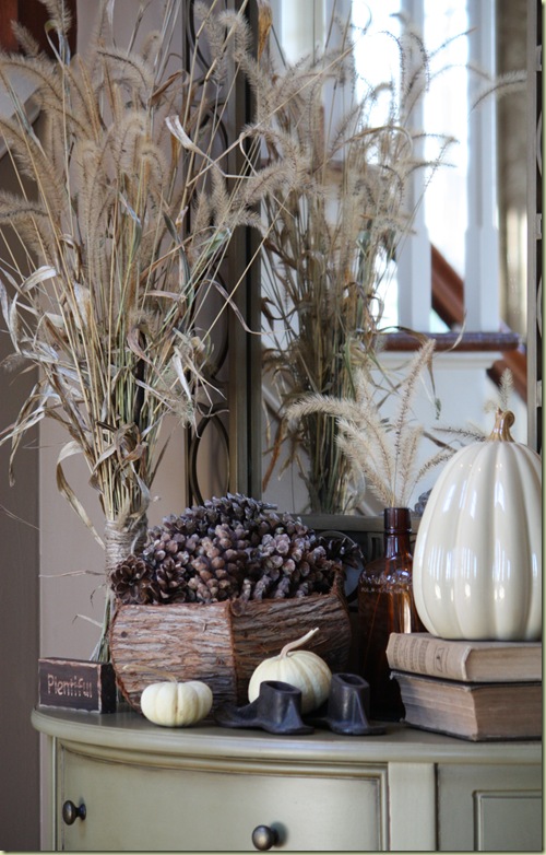 thanksgiving blog 233