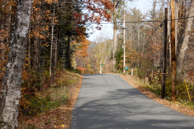 Hopson Road foliage in Norwich Vermont -- photo by Gabriel L. Daniels