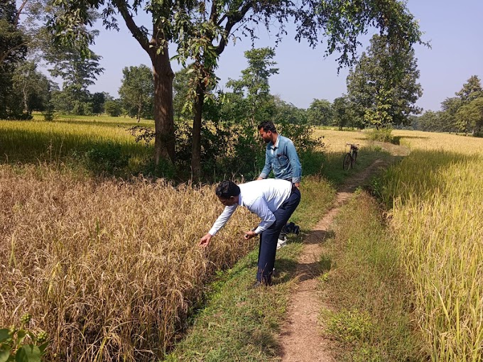  रास नहीं आ रहा प्रशासन का फसल क्षति सर्वे कार्य