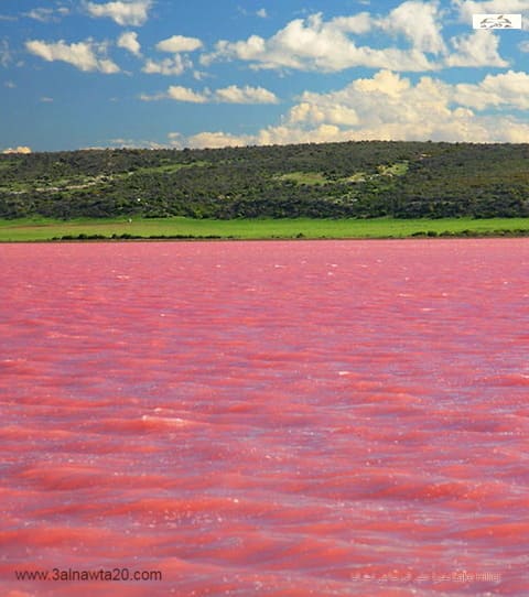  بحيرة هيلير الوردية في استراليا Lake Hillier 