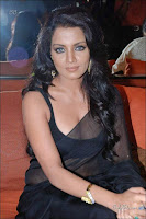 celina jaitley