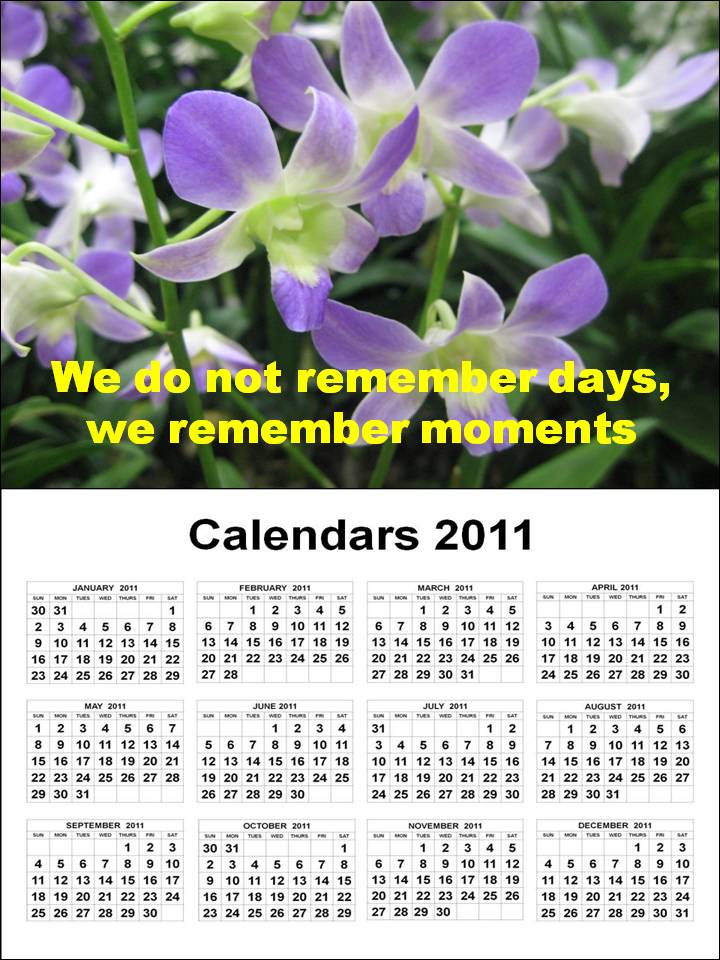 2011 a4 size large print calendar - large print - rnzfb.org.nz