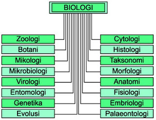 Hasil gambar untuk cabang biology