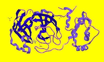 Fig. I.1: Crystal Structure of COVID-19 main protease (5r82) in complex with Z219104216