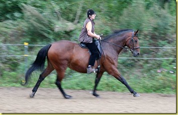 IMG_3888 IMG_3888