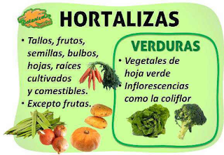 ¿Cuáles son las diferencias entre verduras y hortalizas?