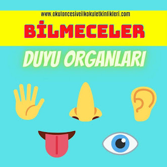 duyu organları bilmeceleri