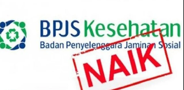 Hari Ini BPJS Kesehatan Naik, Haris Rusly Moti: Pemerintah Bermental Kolonial!